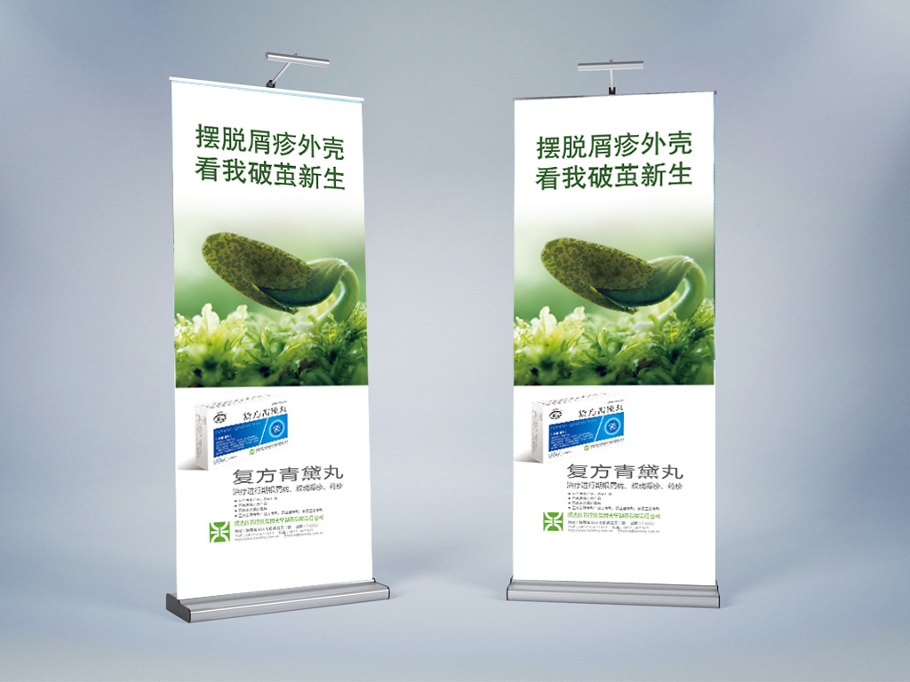 陜西醫(yī)藥控股集團天寧制藥有限責任公司系列藥品包裝設(shè)計之復(fù)方青黛丸藥品易拉寶設(shè)計