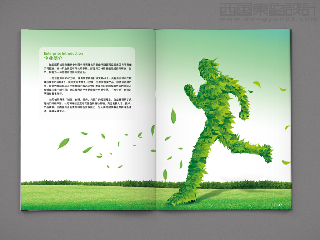 陜西醫(yī)藥控股集團天寧制藥有限責任公司系列藥品包裝設(shè)計之產(chǎn)品手冊內(nèi)頁設(shè)計