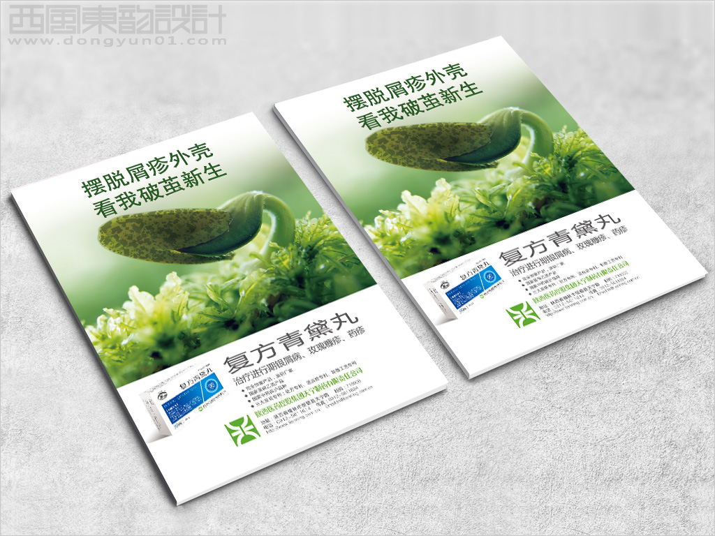 陜西醫(yī)藥控股集團天寧制藥有限責任公司系列藥品包裝設(shè)計之復(fù)方青黛丸藥品雜志廣告設(shè)計