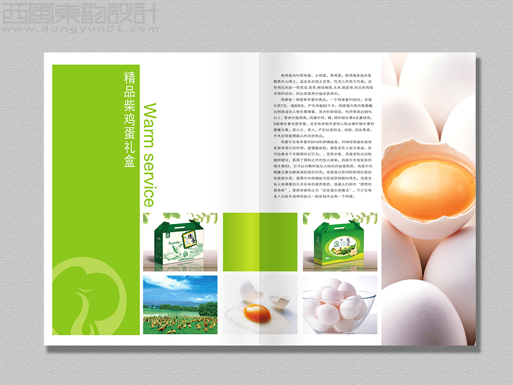 北京金鳳祥云商貿(mào)公司農(nóng)產(chǎn)品畫冊設計之精品柴雞蛋內(nèi)頁設計