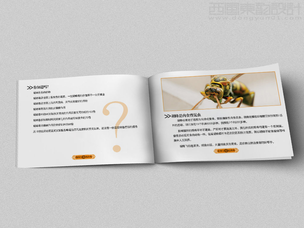 北京泰斗生物醫(yī)藥科技有限公司產(chǎn)品手冊設計之胡峰介紹內(nèi)頁設計