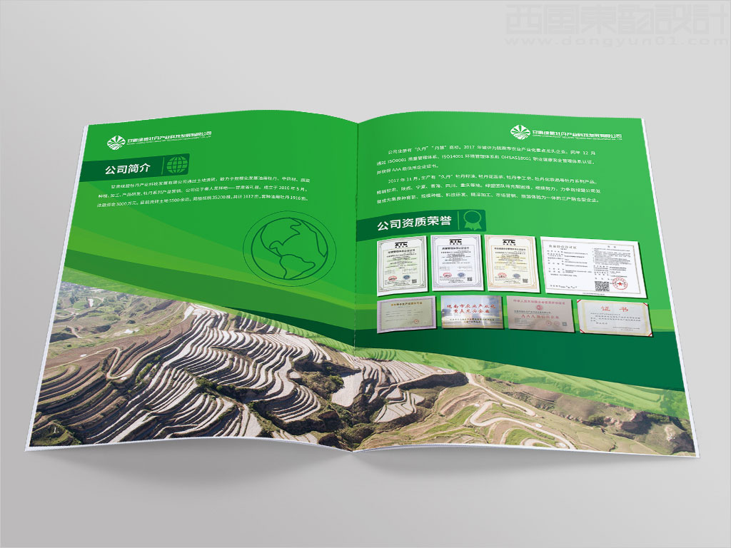 甘肅綠盟牡丹產(chǎn)業(yè)科技發(fā)展有限公司畫冊設計之公司簡介資質(zhì)榮譽內(nèi)頁設計圖片