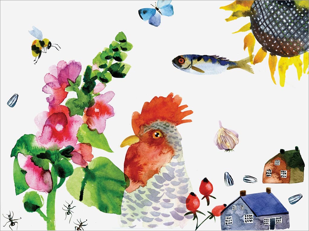 烏克蘭手繪插畫(huà)風(fēng)格葵花籽食用油包裝設(shè)計(jì)之手繪插圖設(shè)計(jì)